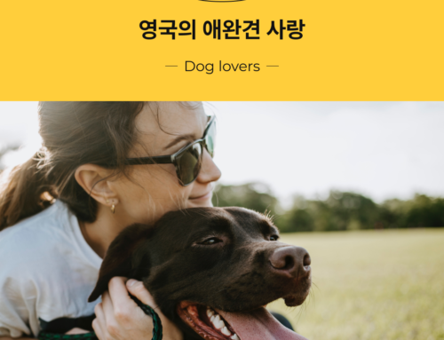 [Fun Facts] 맛집영어 영어여행 이야기 #9 영국 : 영국의 애완견 사랑