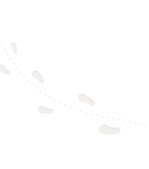 STEP 배경 이미지